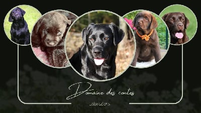 Du Domaine Des Contes