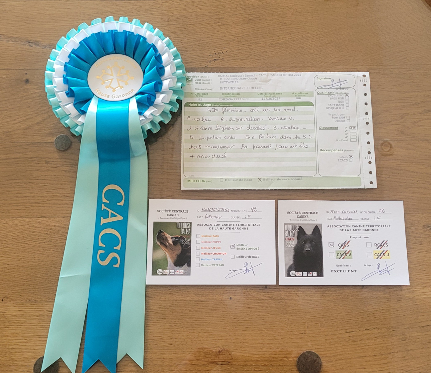 VahÏa Des Princes De Calvignac - 1er excellent classe intermédiaire femelle, CACS, Meilleur sexe opposé