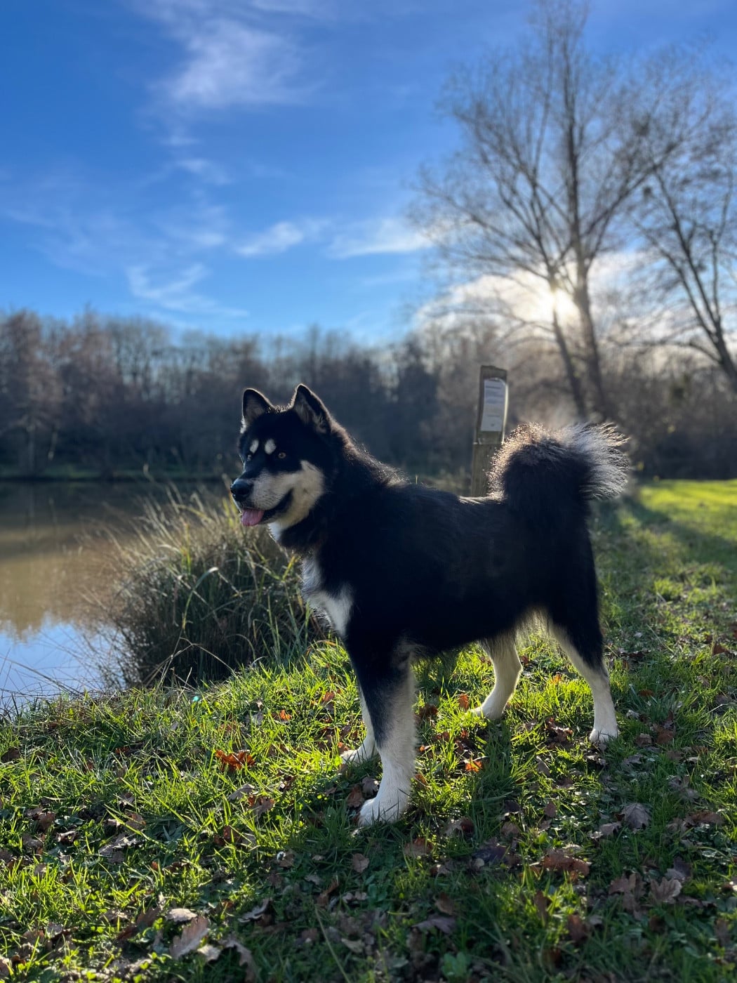 Into The Wild With Suki of yupic