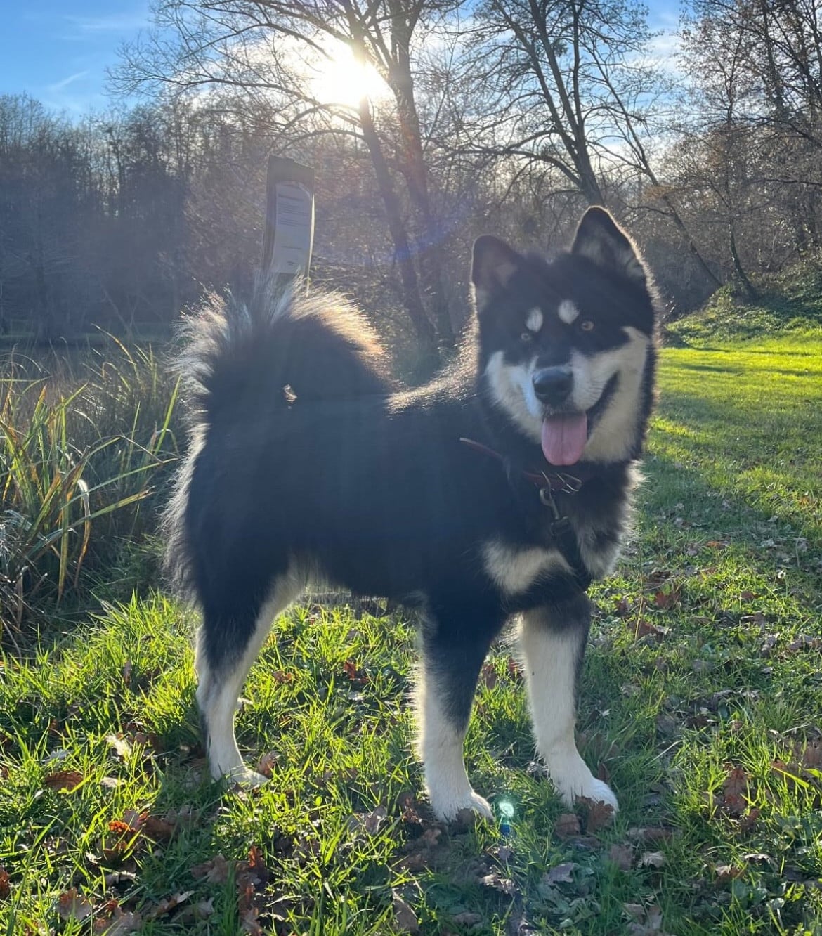 Into The Wild With Suki of yupic