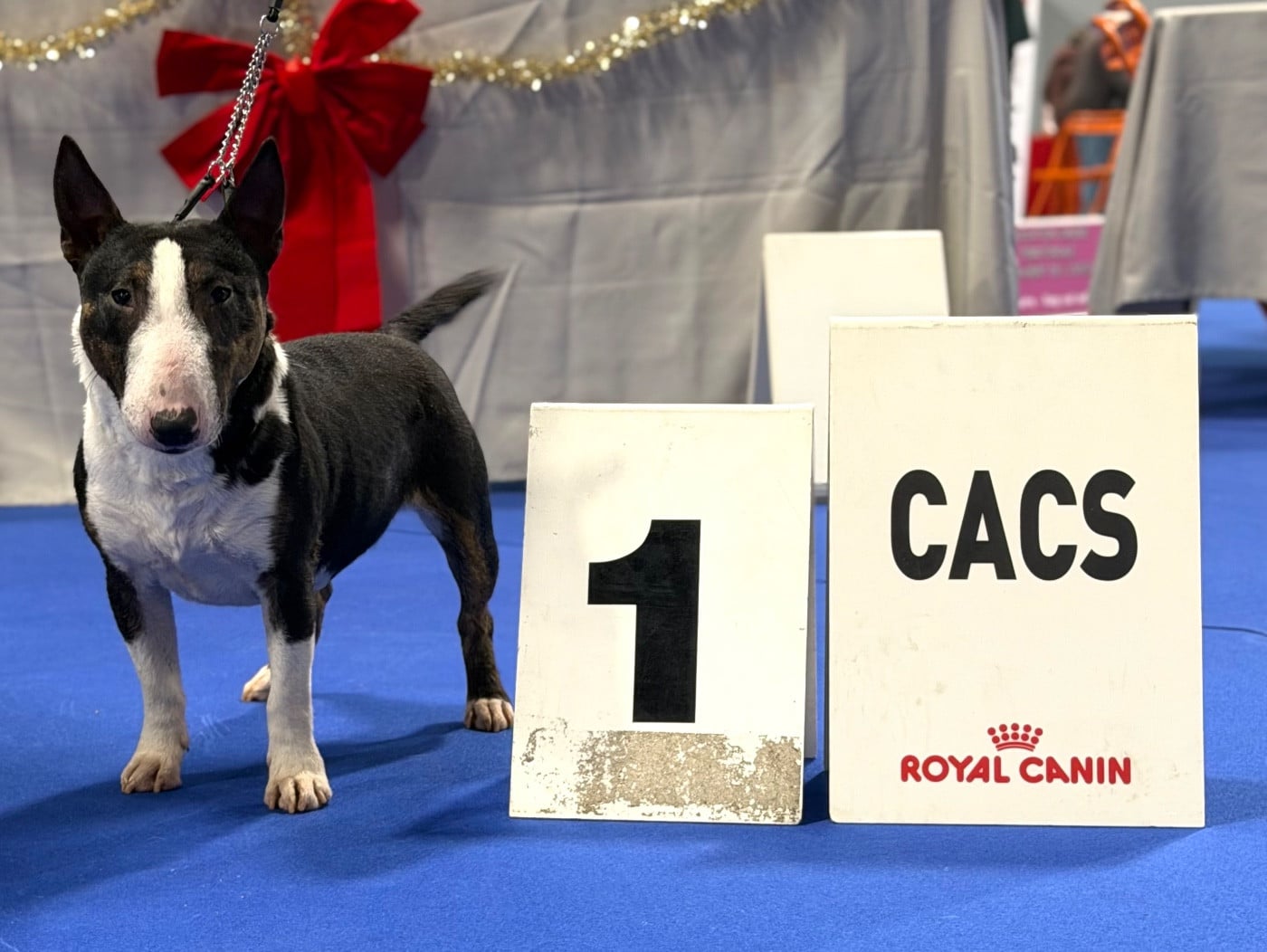 Apple Du Domaine Des Démons Bretons