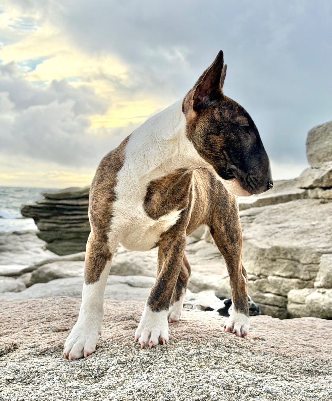 Publication : Du Domaine Des Démons Bretons