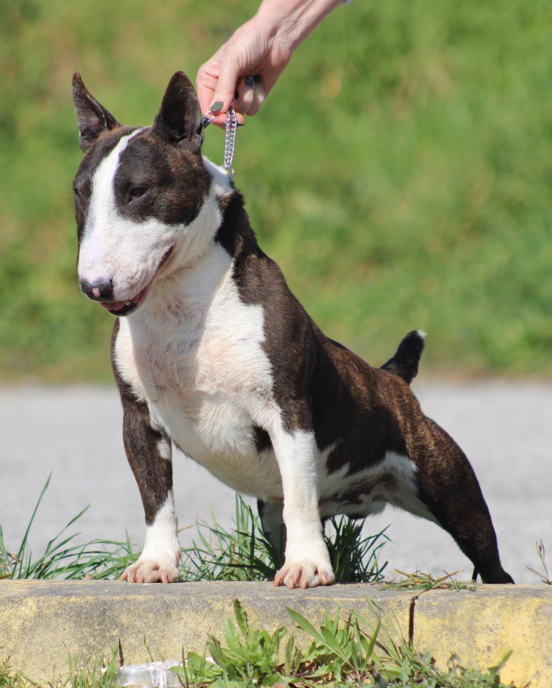 salvus brothers Kharkiv (hadès)