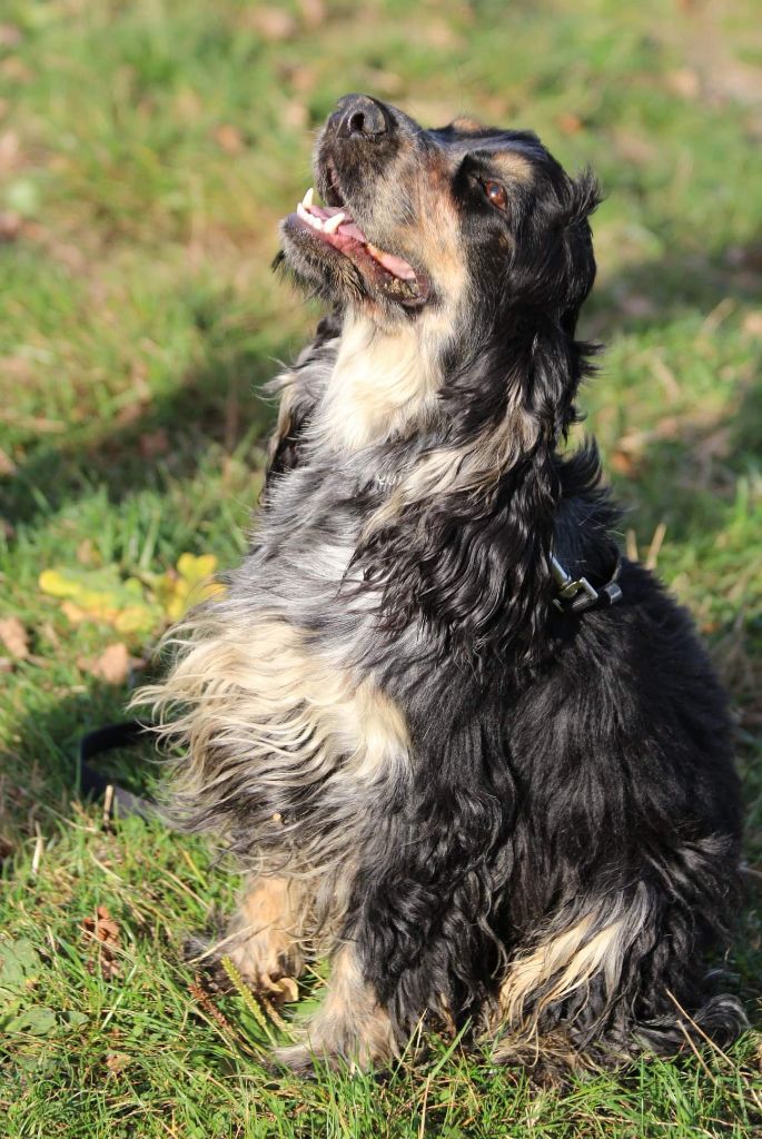 Publication : (Sans Affixe)