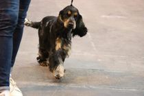 Publication : (Sans Affixe)