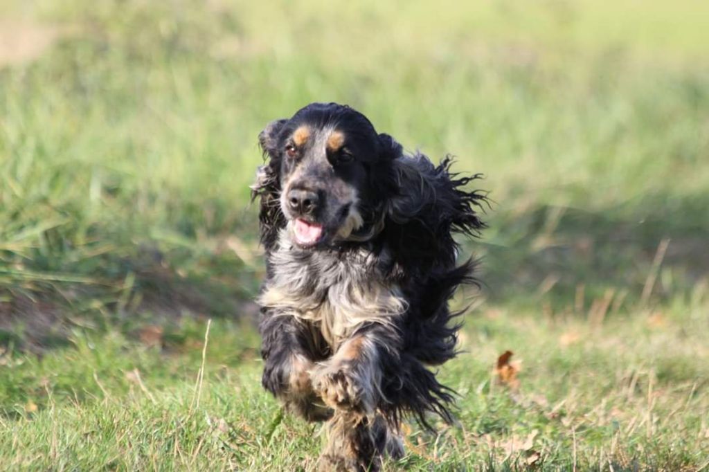 Publication : (Sans Affixe)