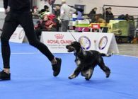 Publication : (Sans Affixe)