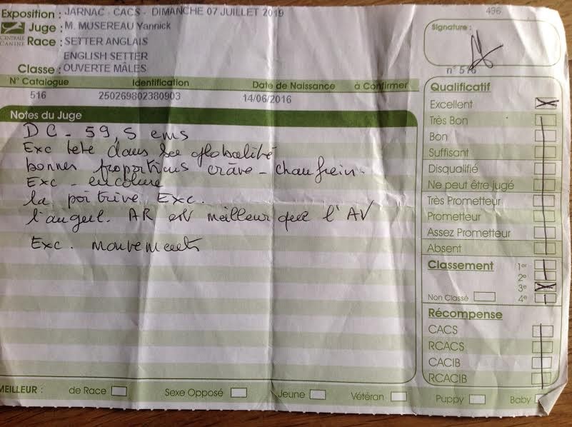 Mister de l'oyat des dunes - excellent 3ème