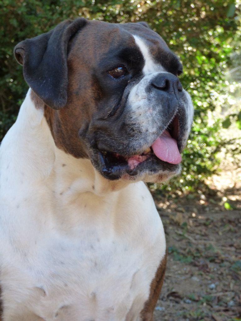 I'm lolita lempika de l'Arche des Terres du Sud