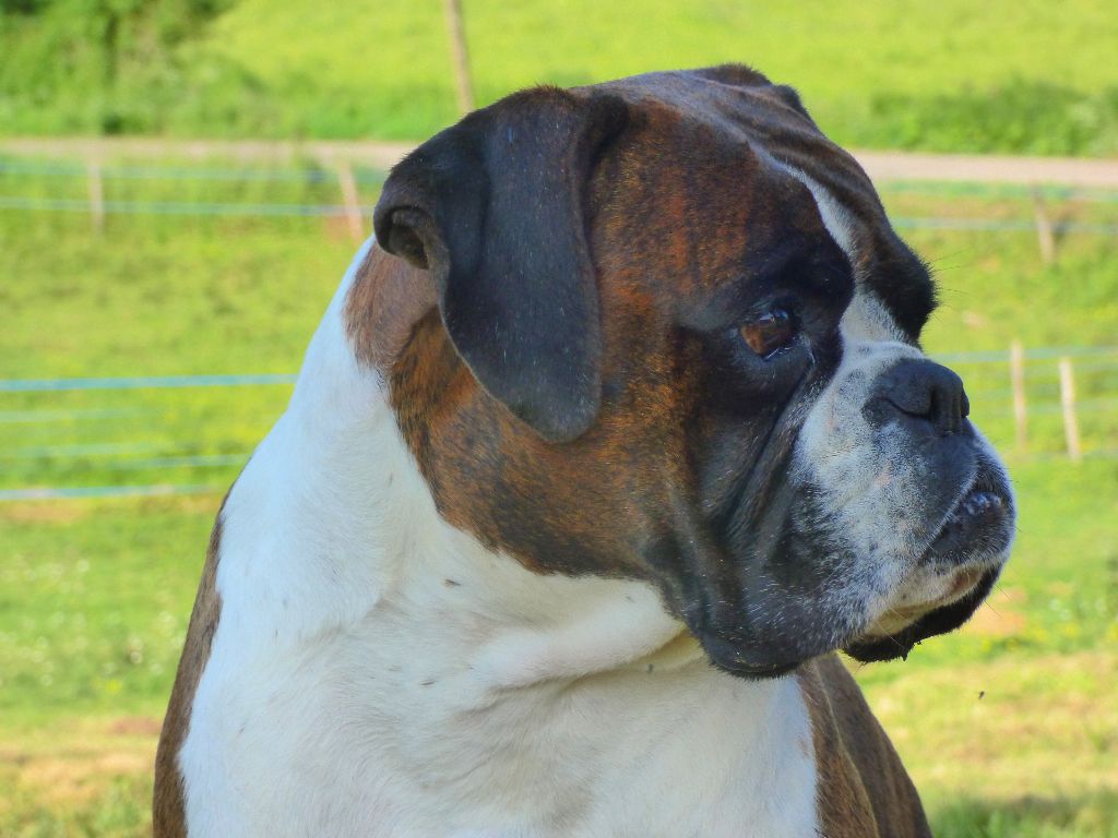 I'm lolita lempika de l'Arche des Terres du Sud