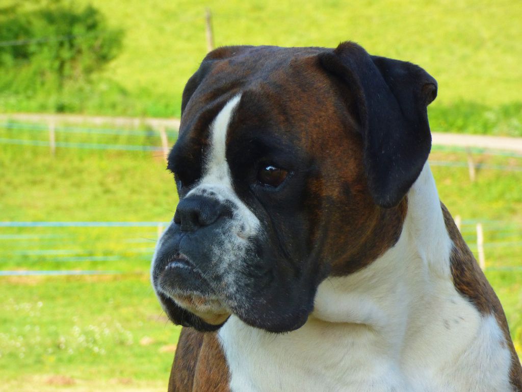 I'm lolita lempika de l'Arche des Terres du Sud