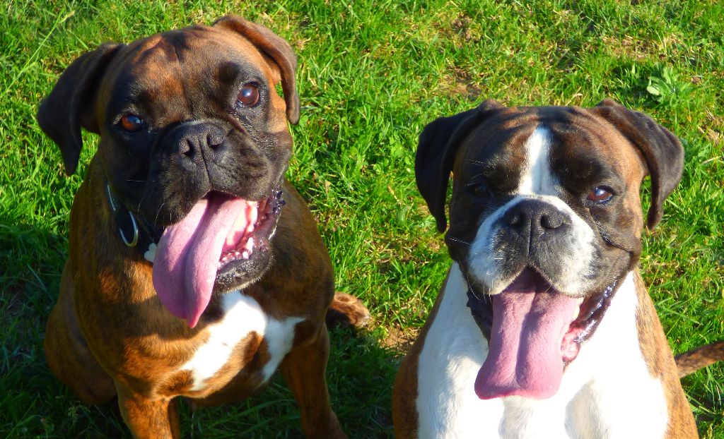 I'm lolita lempika de l'Arche des Terres du Sud