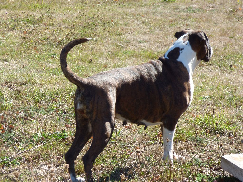 I'm lolita lempika de l'Arche des Terres du Sud