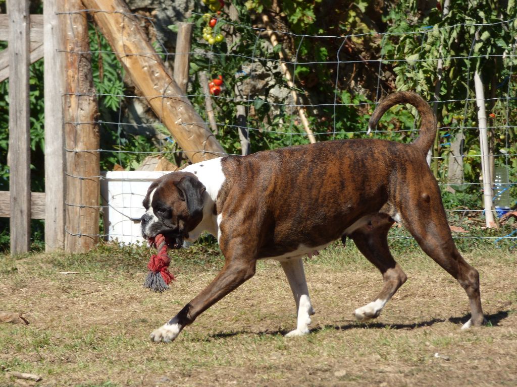 I'm lolita lempika de l'Arche des Terres du Sud
