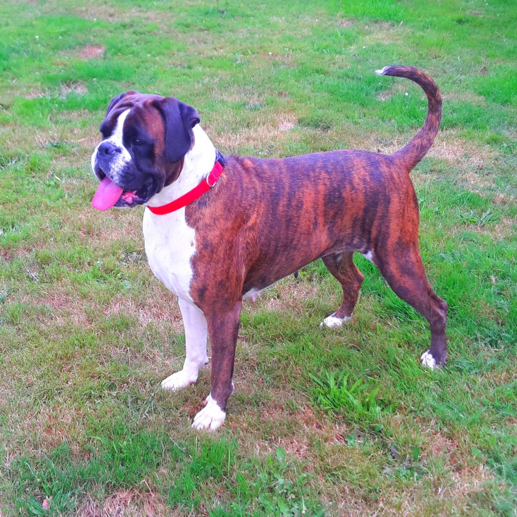 I'm lolita lempika de l'Arche des Terres du Sud