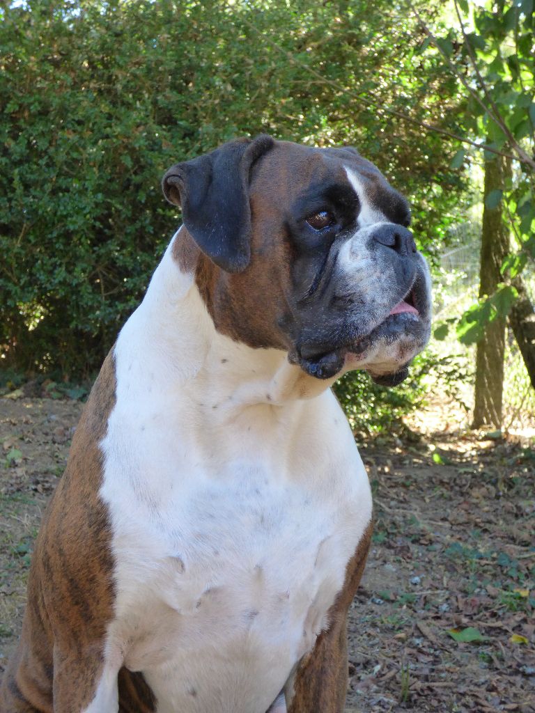 I'm lolita lempika de l'Arche des Terres du Sud