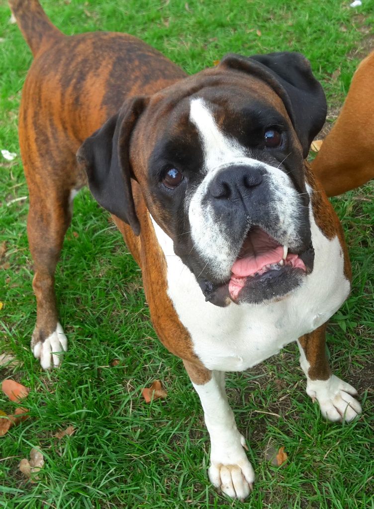 I'm lolita lempika de l'Arche des Terres du Sud