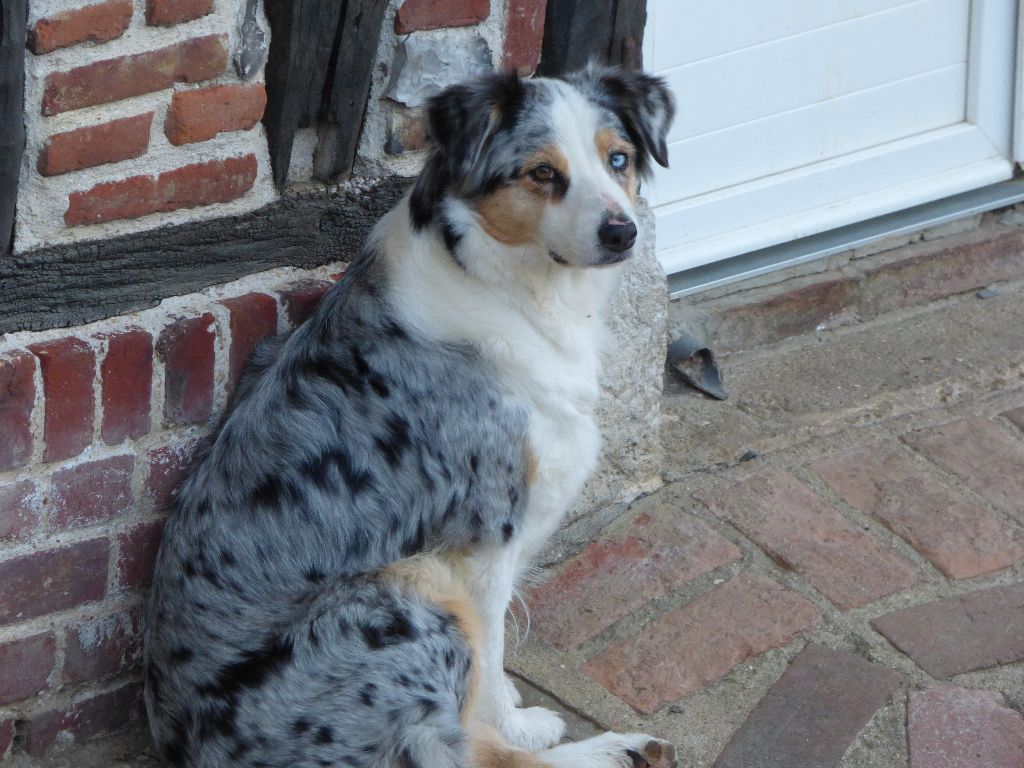 Publication : (Sans Affixe)