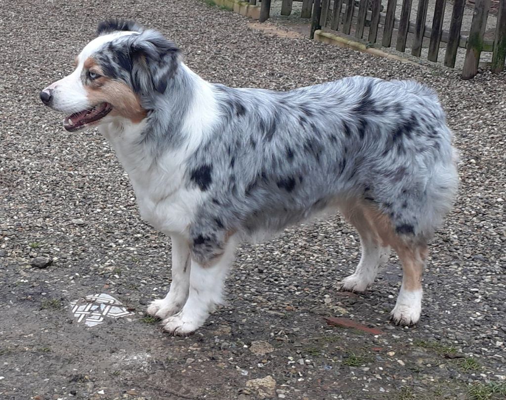 Publication : (Sans Affixe)