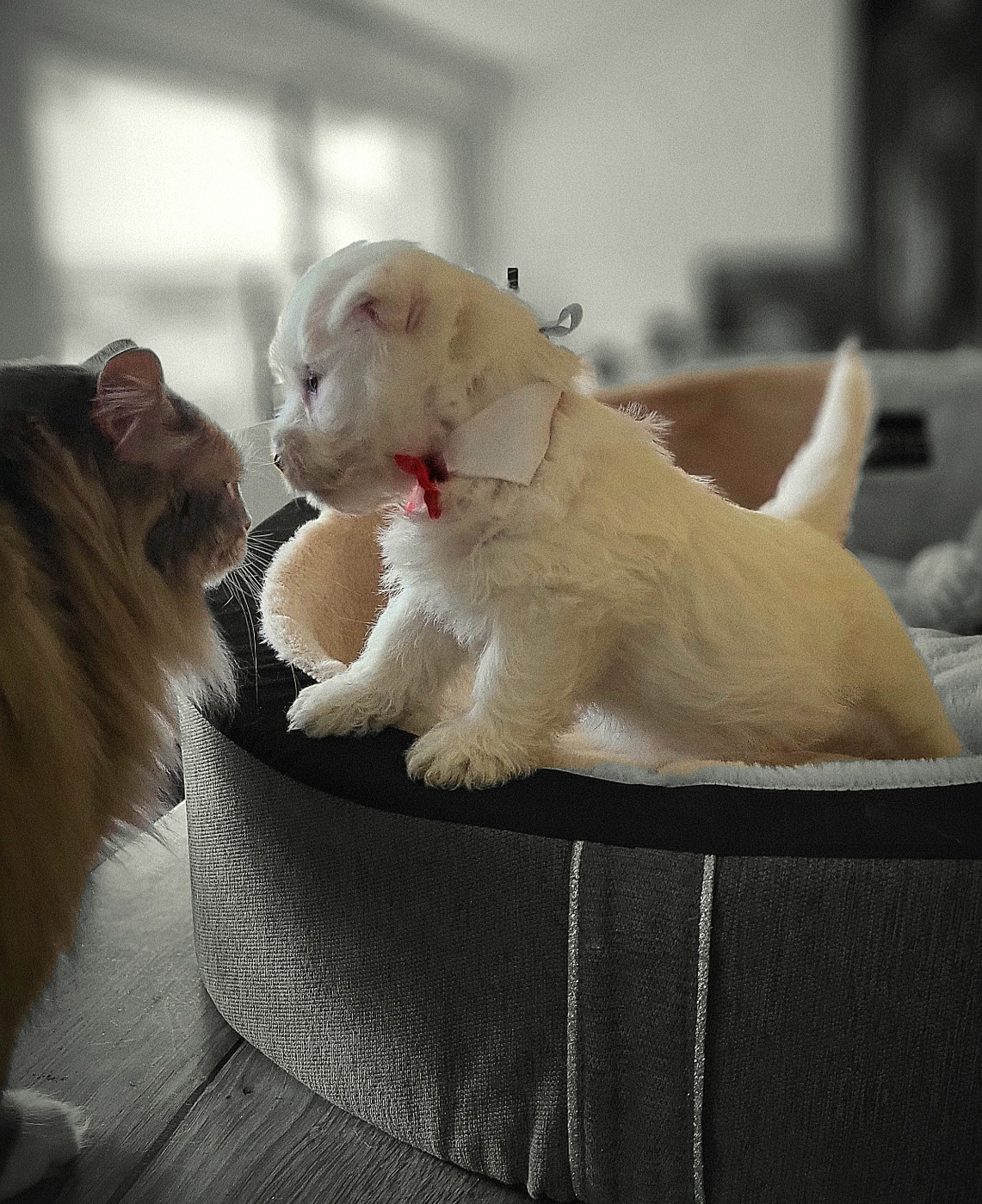 BBOY ou baby love pour les intimes