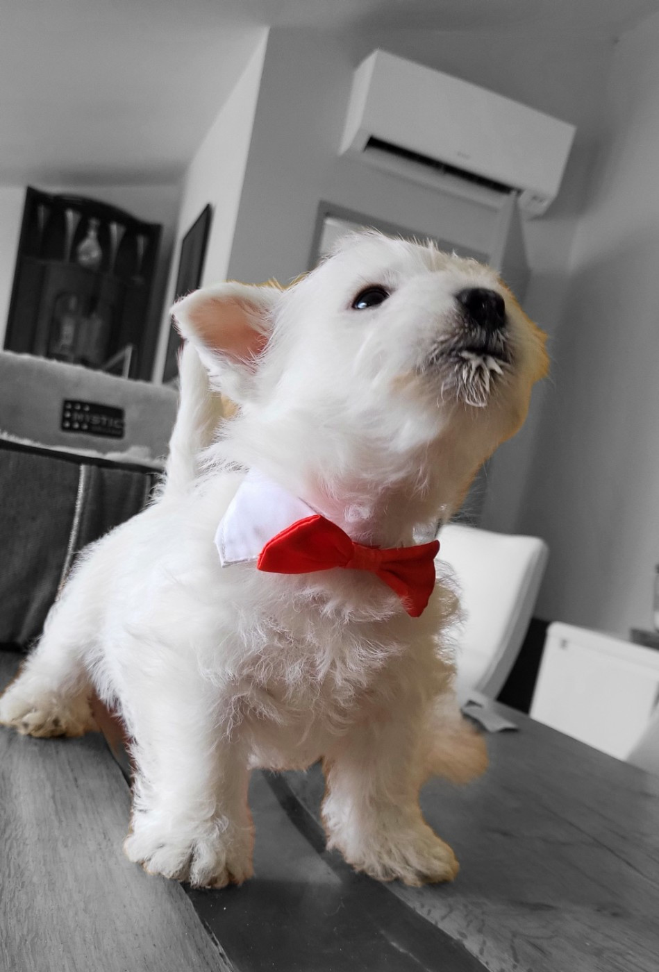 BBOY ou baby love pour les intimes