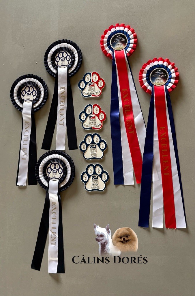 Viviane Des Câlins Dorés - 4ème EXCELLENTE /4