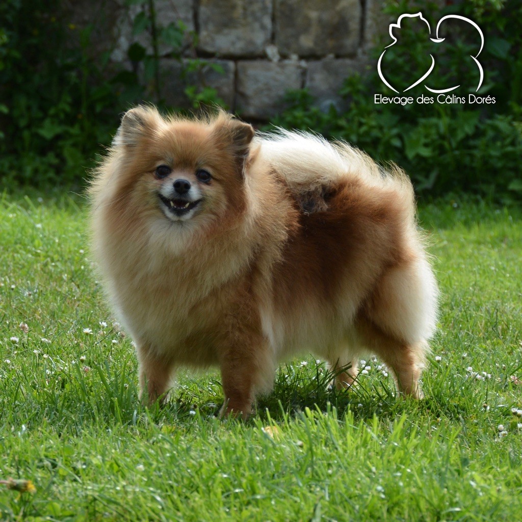 Erikah badu the small step - 5ème EXCELLENTE /5