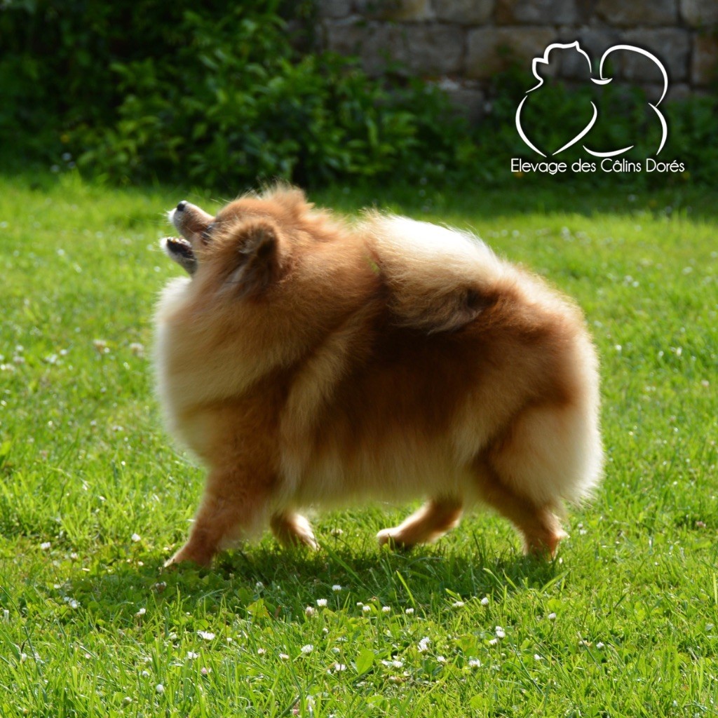 Erikah badu the small step - 3ème EXCELLENTE /5