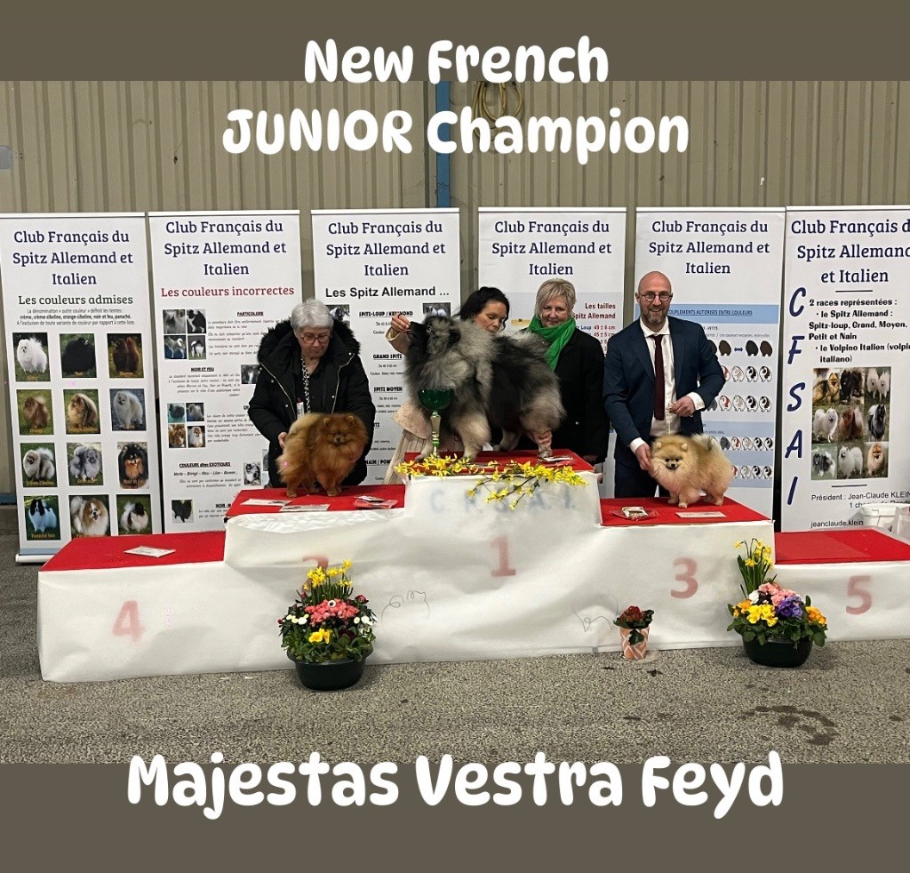 CH. majestas vestra Feyd - 1er EXCELLENT CACS J . BOB J BOGJ3 (Devient champion de France Jeune)