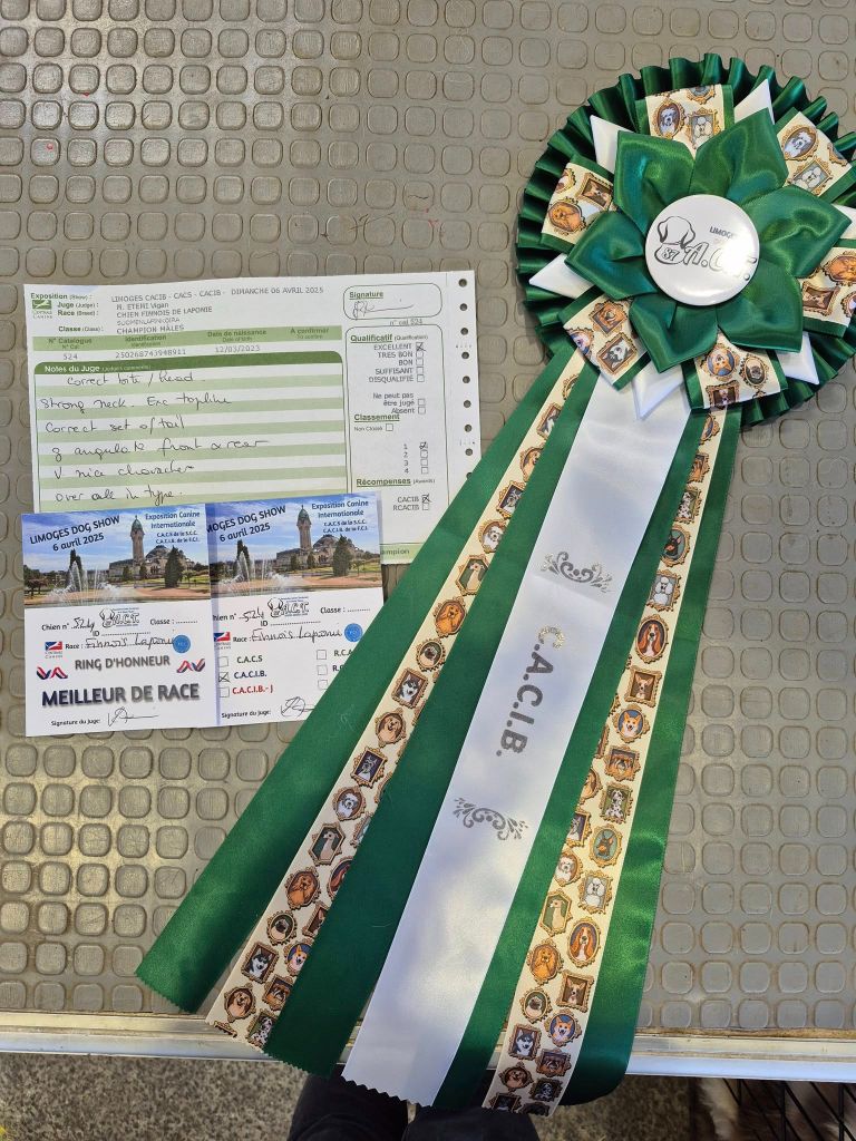 CH. Upendi simba Des Terres De Manaly - 1e EXC - CACIB - BOB 6 Classe Ch