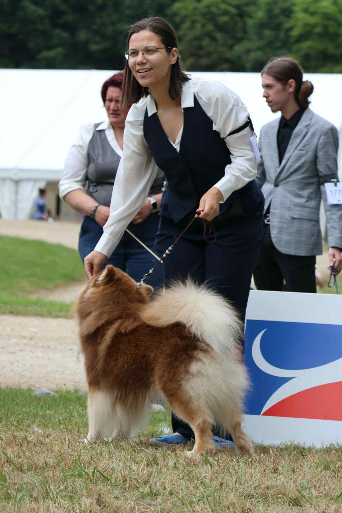 CH. Upendi simba Des Terres De Manaly - 2e Exc / 3 - Classe Ch