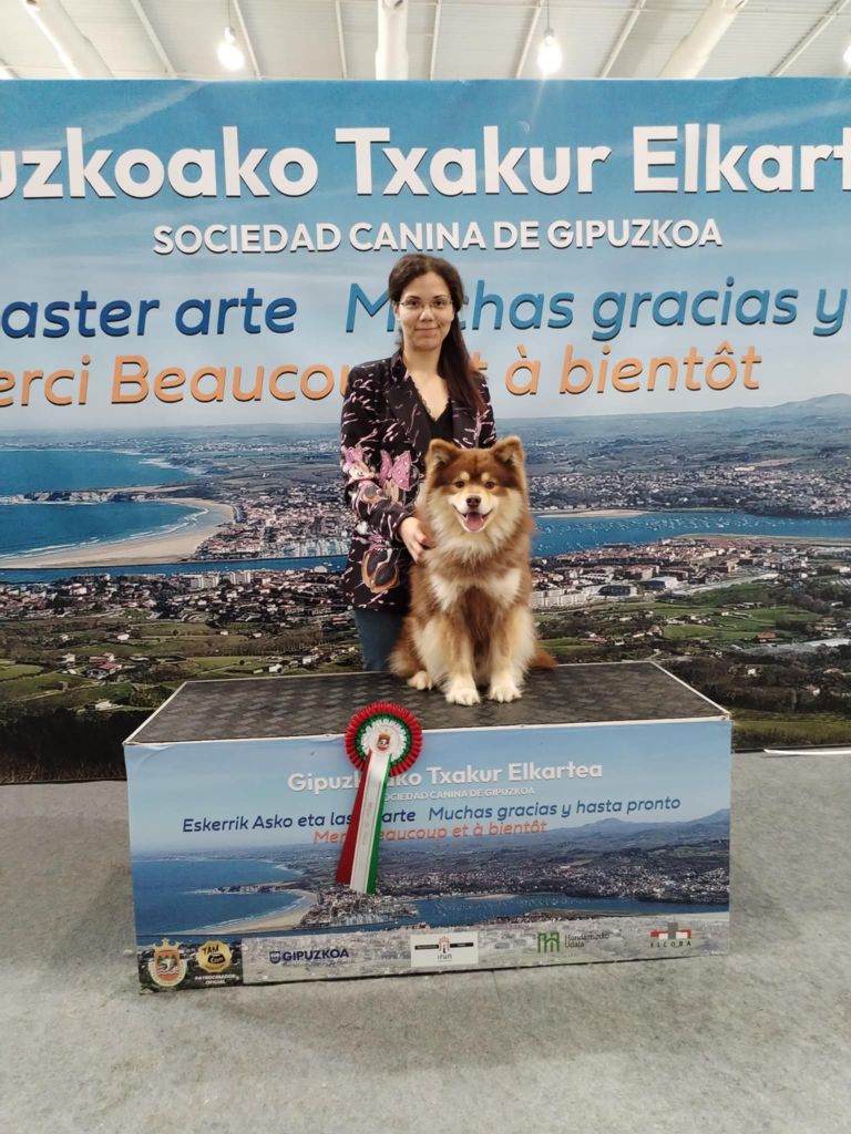 CH. Upendi simba Des Terres De Manaly - 1e EXC - CACIB- BOB