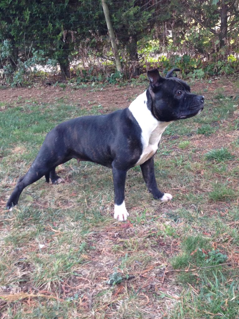 Publication : (Sans Affixe) Auteur : Moi