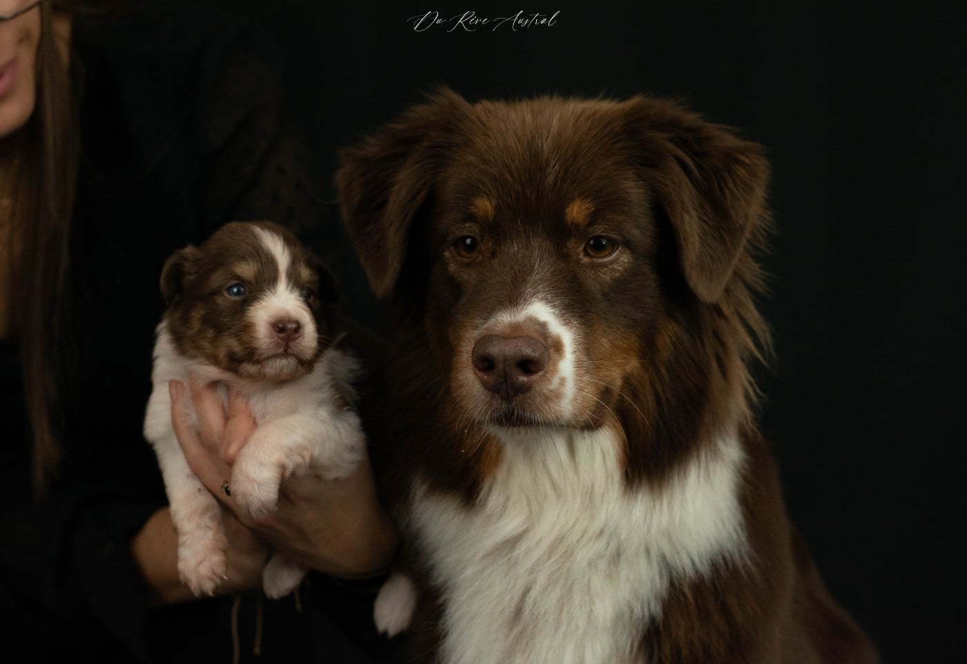 Run lola run du chemin des korrigans