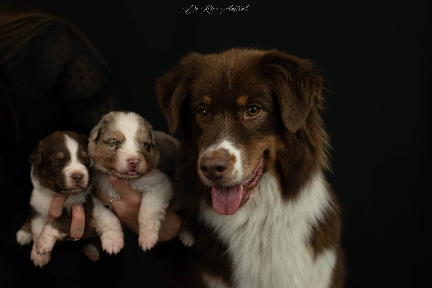 Run lola run du chemin des korrigans