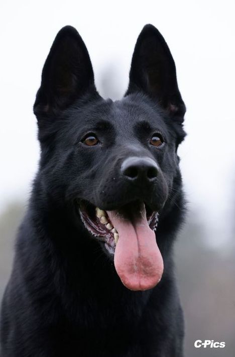 Publication : von kaisersbari Auteur : C-Pics