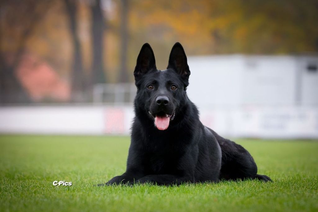 Publication : von kaisersbari Auteur : C-Pics