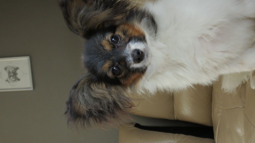 Publication : au Royaume D'ultra Auteur : Moi