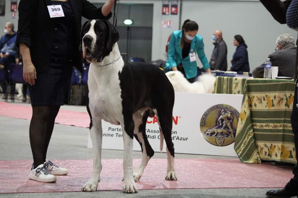 Rokko Du Domaine D'Orthos - 2ème très bon