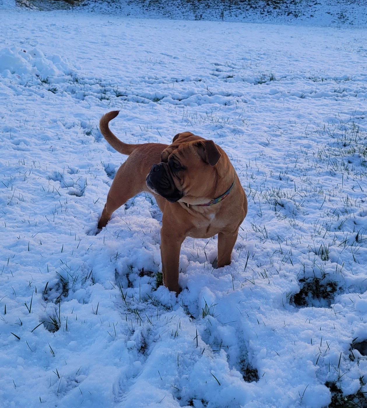 Publication : Ty Moutik