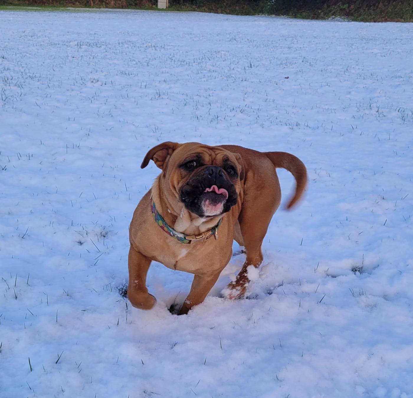 Publication : Ty Moutik