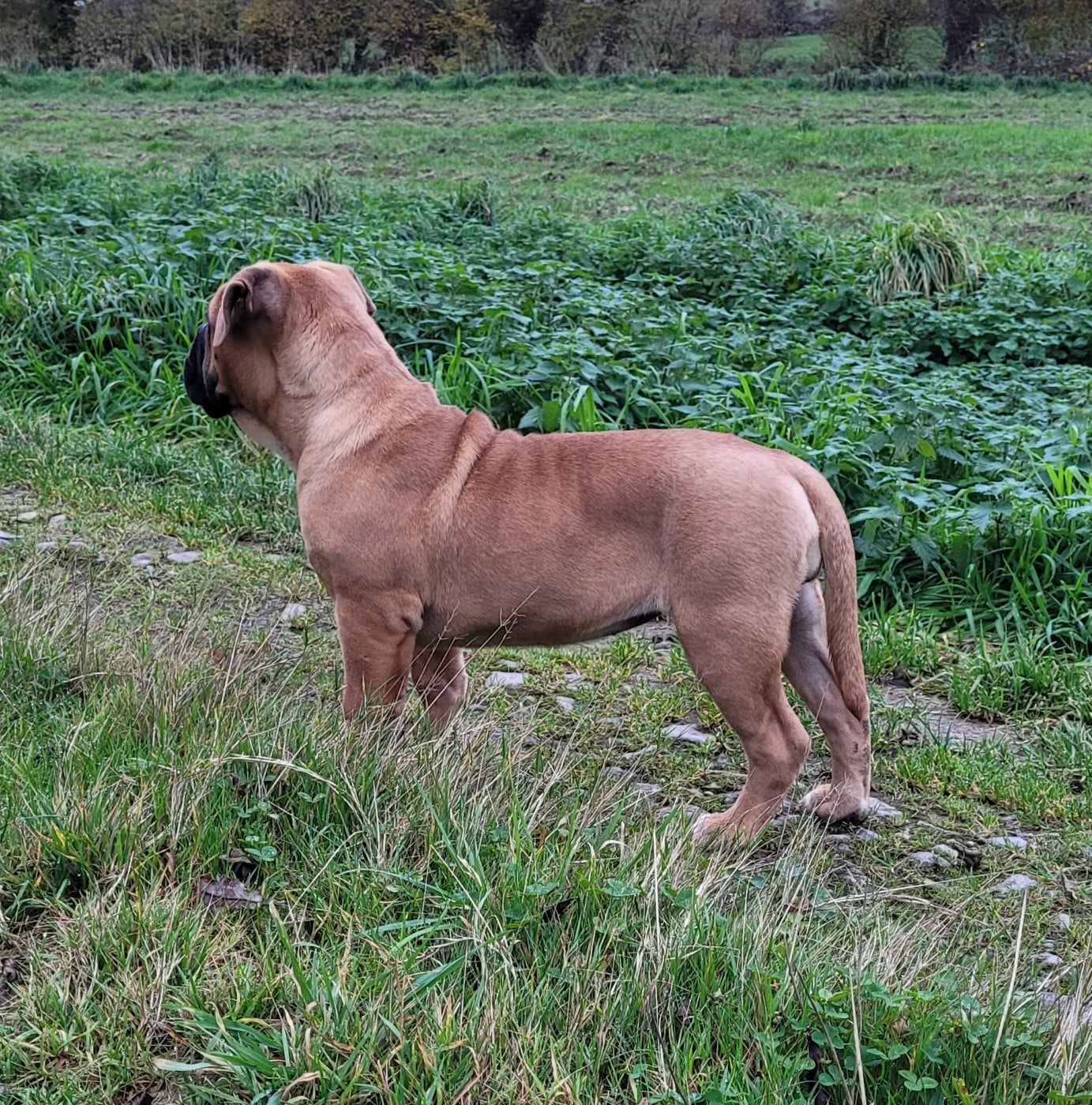 Publication : Ty Moutik