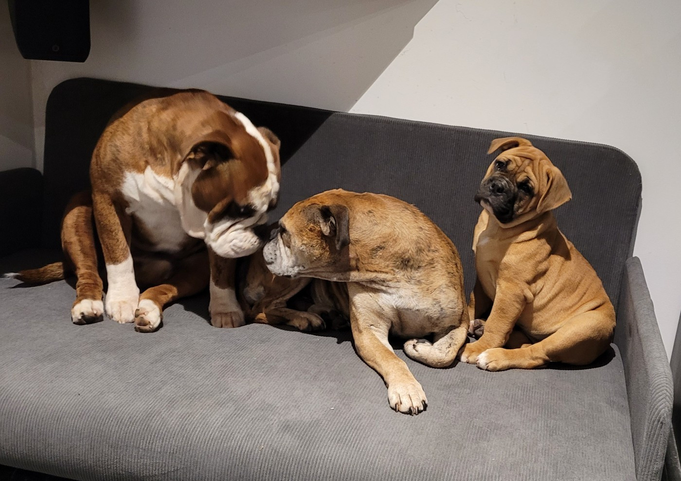 Publication : Ty Moutik