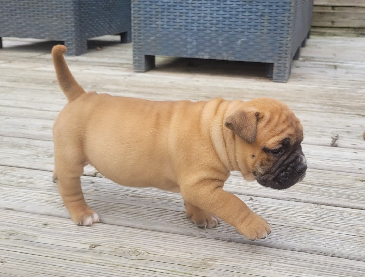 Publication : Ty Moutik