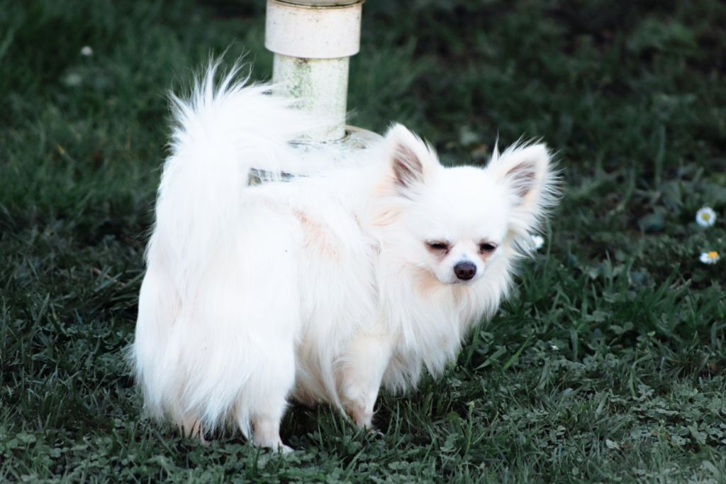 Publication : Des Trésors De Cancun