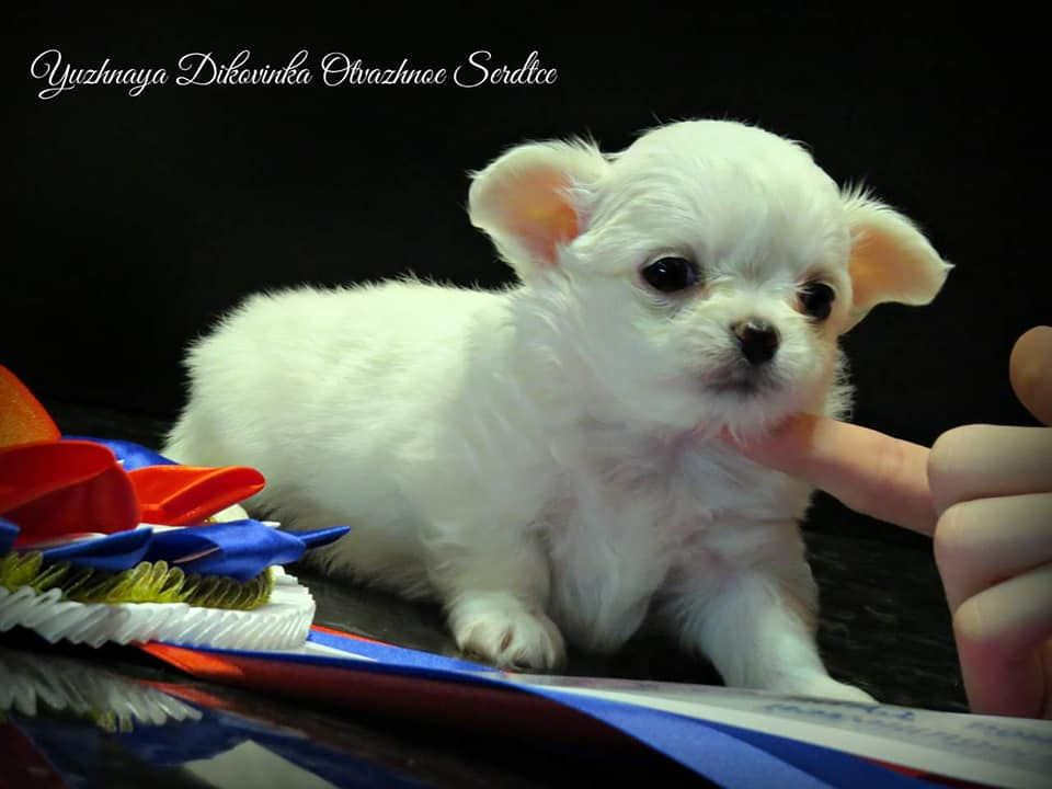 Publication : Des Trésors De Cancun