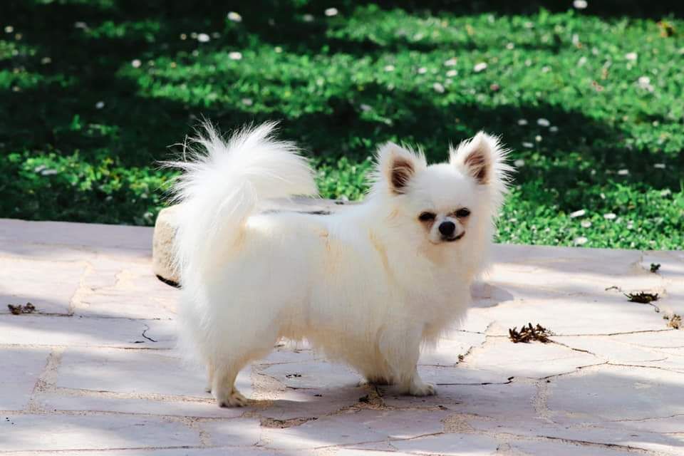 Publication : Des Trésors De Cancun