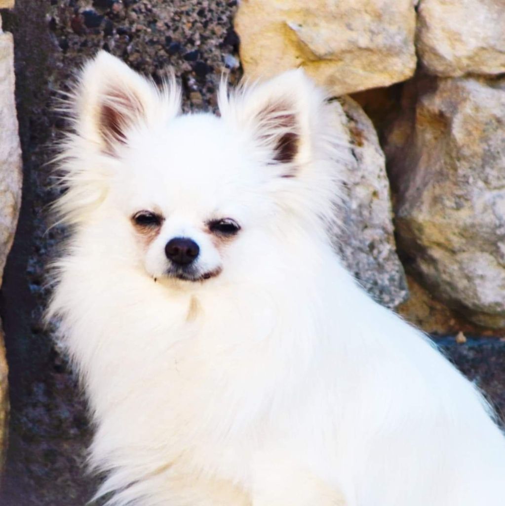 Publication : Des Trésors De Cancun