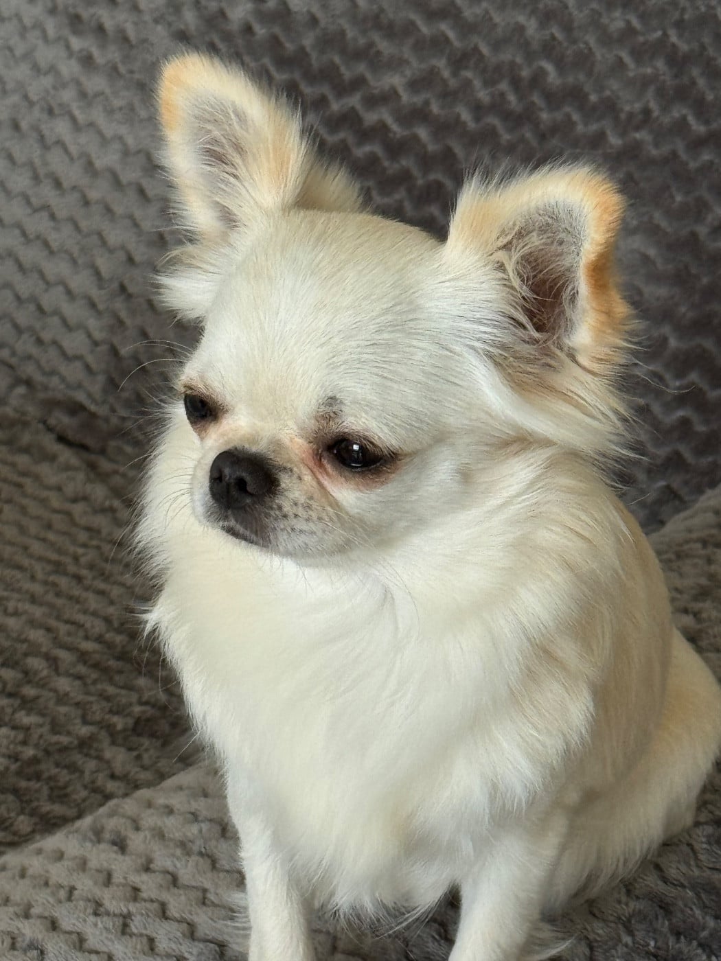 Publication : Des Trésors De Cancun