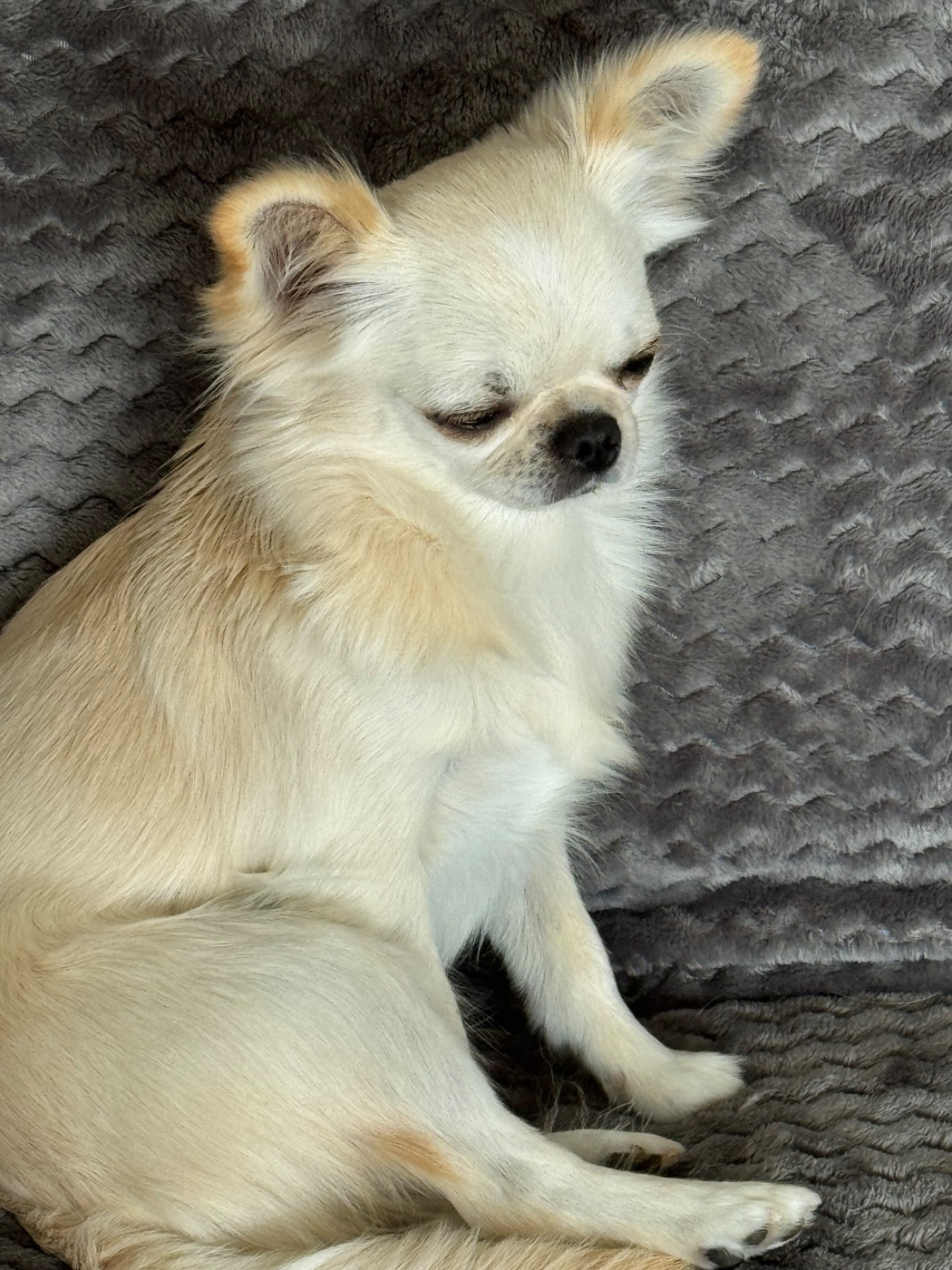 Publication : Des Trésors De Cancun